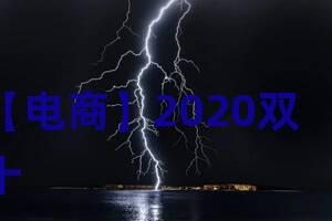 【电商】2020双十一消费者洞察(节后)
