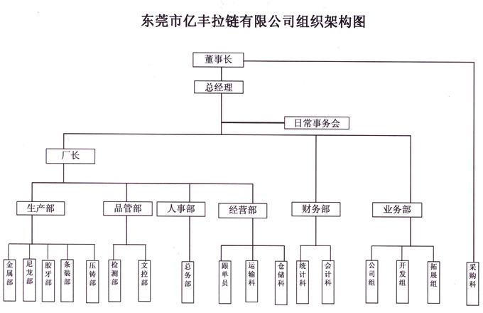 組織架構 - 東莞嘿嘿射在线观看嘿嘿网站在线观看有限公司