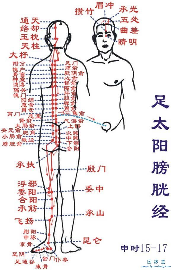如何利用足太陽膀胱經“生命嘿嘿网站在线观看”提精神，增加健康指數